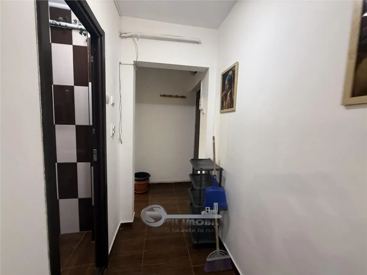 3 CAM ALEXANDRU CEL BUN - foto 23