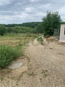 RECO Teren intravilan in Paleu - foto 1