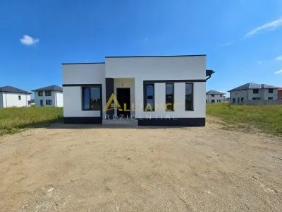 Casa parter- 100m de autobuz- 470mp teren- placa de beton - Berceni