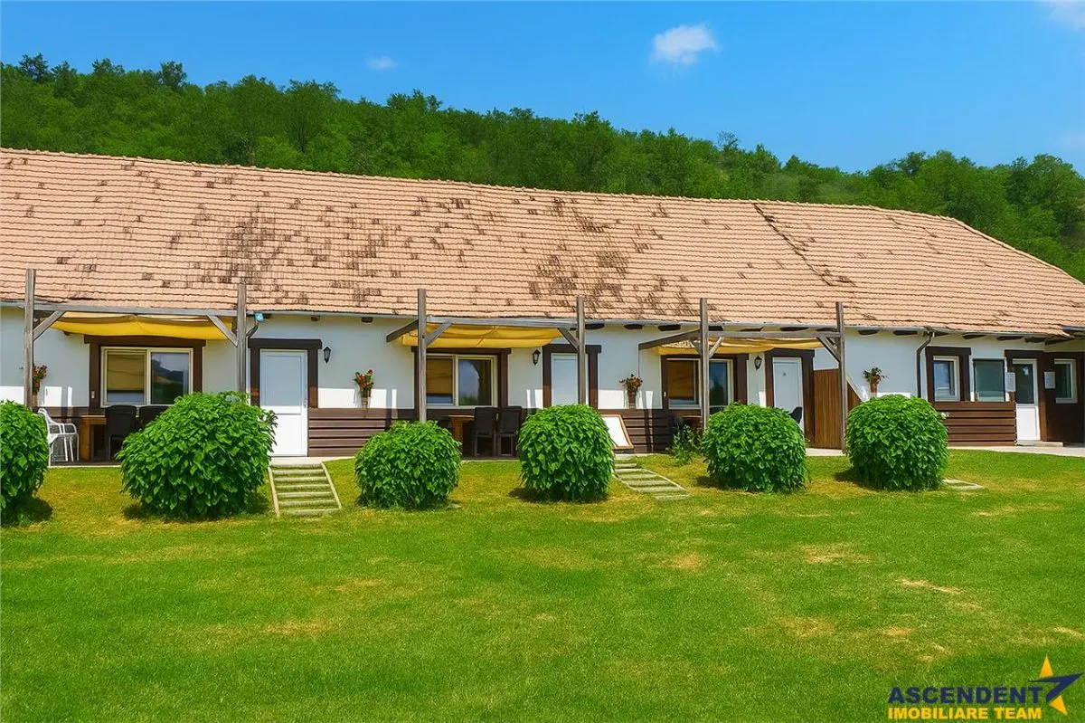 Transilvania Camping, domeniu de 14.400mp,Sanmarghita de Mures:2cladiri, apartamente,potential exceptional - foto 9