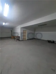 RECO Hala de 800 mp cu teren de 1600 mp in Ineu de Cris Bihor. - foto 1