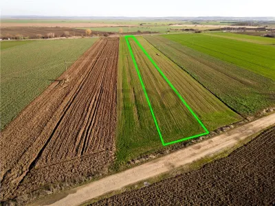 RECO teren 5000mp cu deschidere la DN19 Tamaseu - foto 5