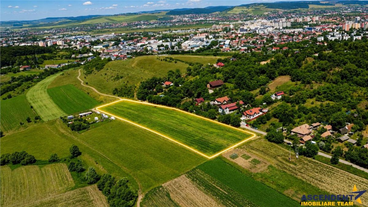 Ansamblu Funciar pretios,15 loturi adiacente, langa padure, Budiului,Targu Mures - foto 4