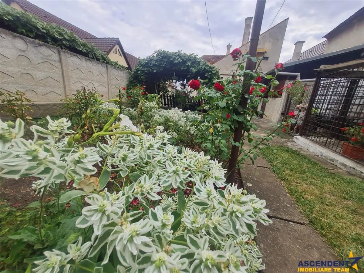 Casa cu vatra traditionala, gradina, garaj, facilitati, Codlea, Brasov - foto 15