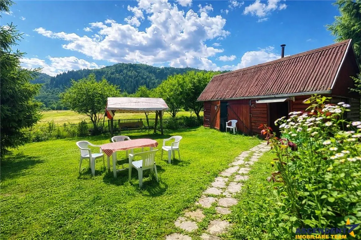 3D&FILM! Refugiu de vacanta, in pitorescul cadru: Lunca Bradului, Mures - foto 3