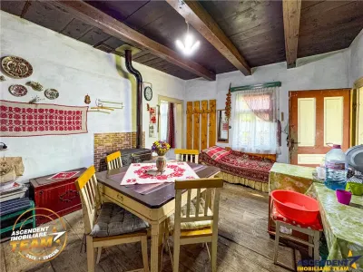 FILM! 3.000 mp teren intravilan cu proprietate traditionala de poveste,Zagon,Covasna - foto 13
