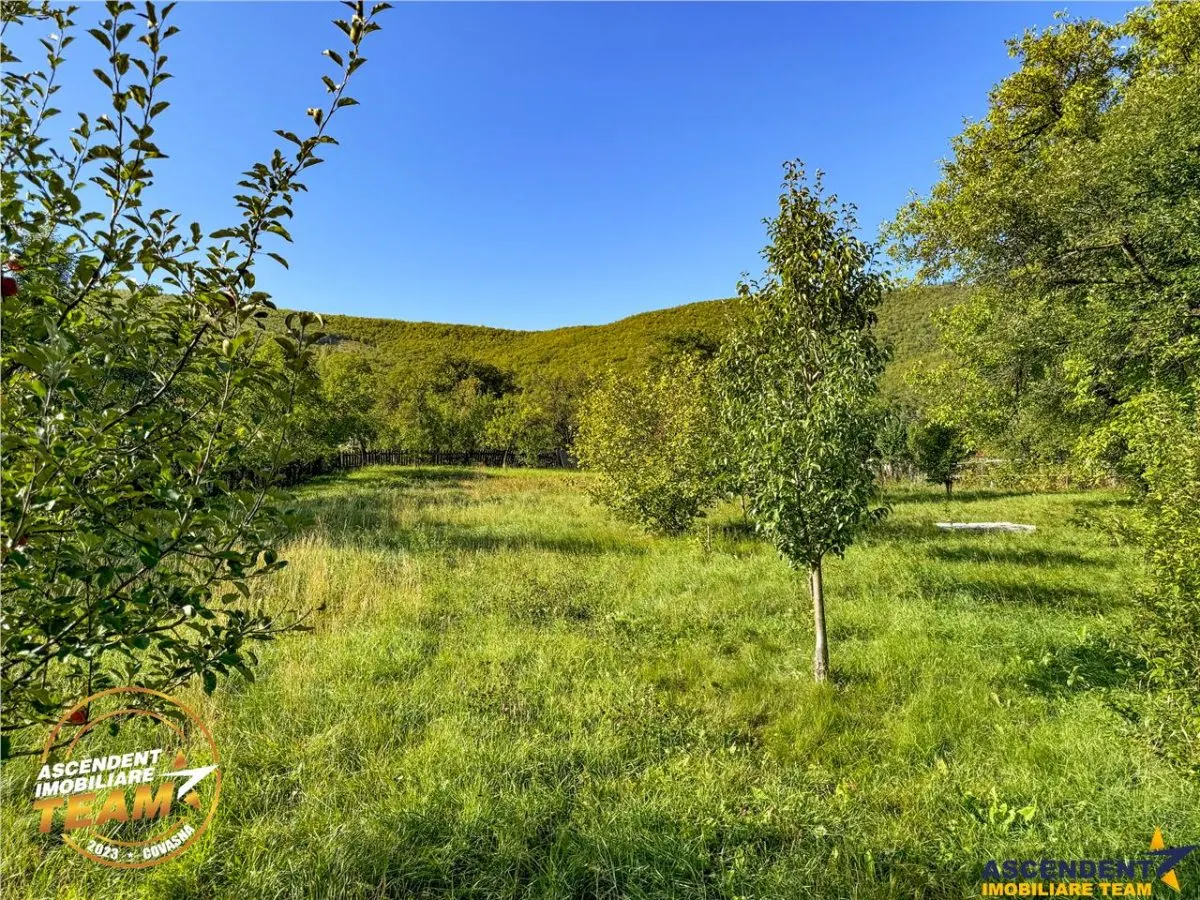 FILM! Proprietate traditionala,de poveste,cu 3.000 mp teren intravilan,Zagon,Covasna - foto 12
