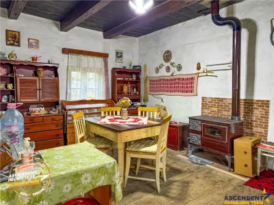 FILM! Proprietate traditionala,de poveste,cu 3.000 mp teren intravilan,Zagon,Covasna - foto 4
