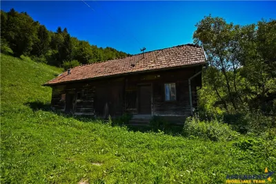 FILM! Proprietate autentica, Bran-Simon, 4.300 mp teren, casa traditionala + anexe - foto 18