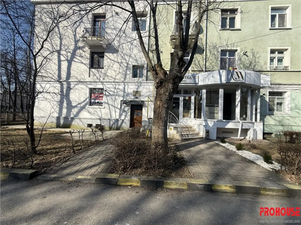 Garsonieră ultracentrală, renovată, vedere parc - Parcul Cancicov! - foto 1