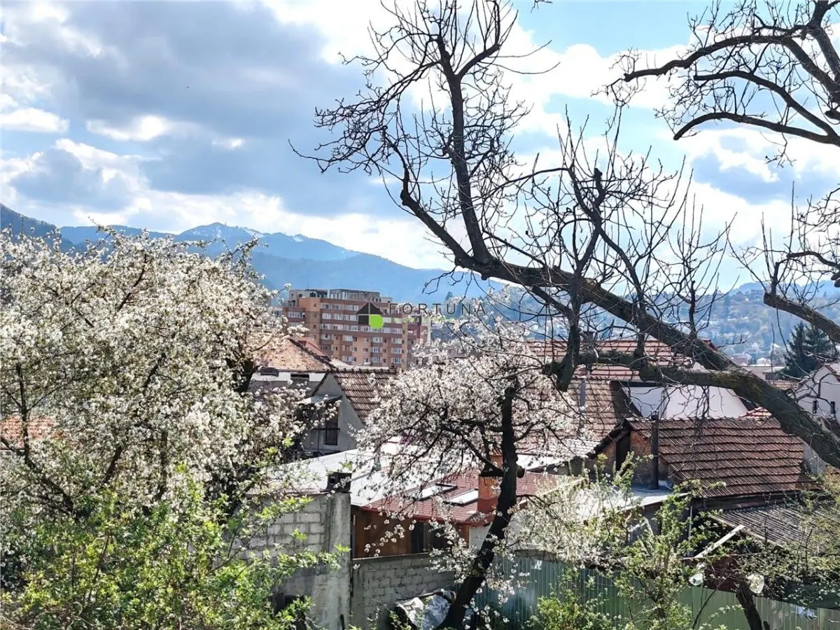 Casa cu 4 camere - Grivitei - foto 21