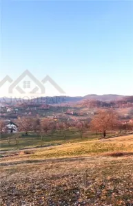 Teren intravilan, 25 ari, Danesti - foto 2