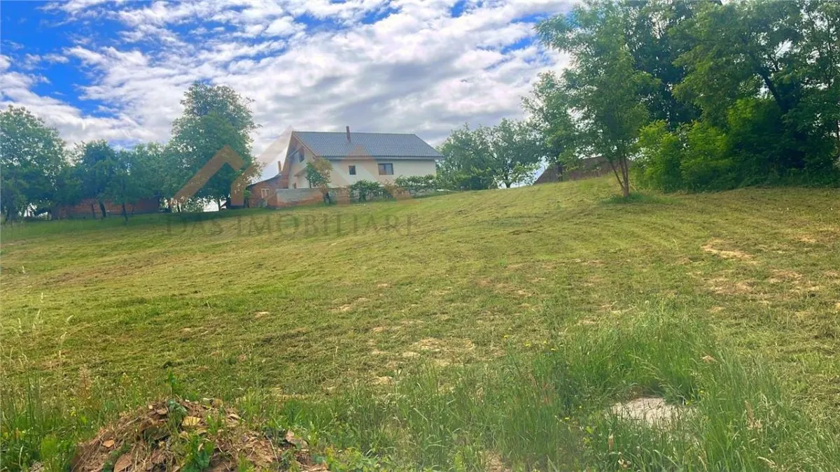 Teren intravilan, 25 ari, Danesti - foto 5