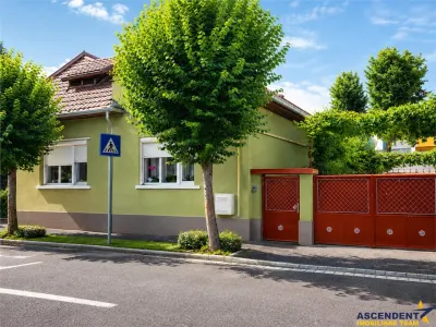 3D!Ansamblu casa+productie+comercial, 3 corpuri,acces stradal,Tudor,Targu Mures, potential ridicat. - foto 1