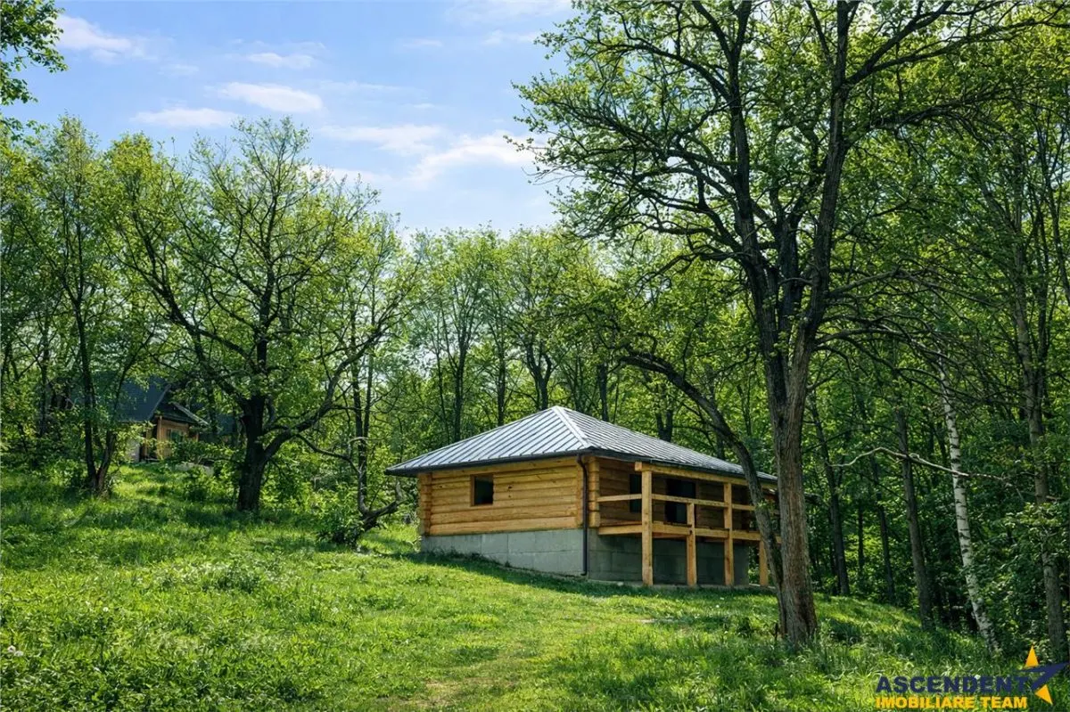 OFERTA REZERVATA!!3.000mp de incantare montana cu cabana din lemn masiv, Zarnesti Tohanita - foto 2
