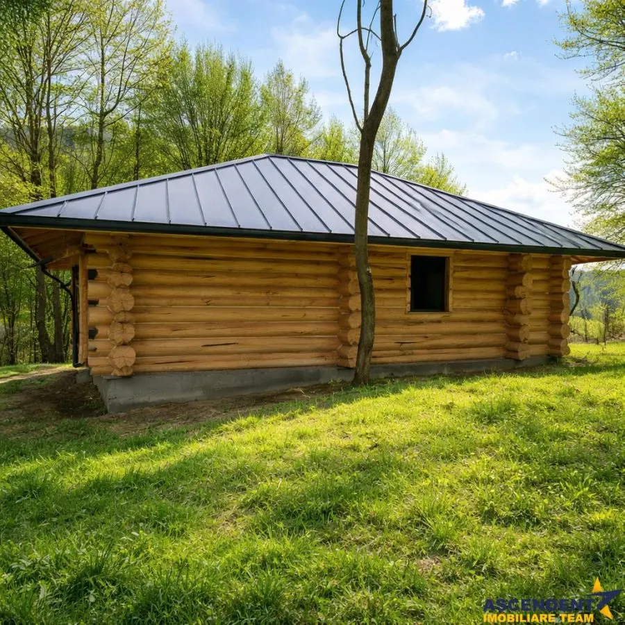 OFERTA REZERVATA!!3.000mp de incantare montana cu cabana din lemn masiv, Zarnesti Tohanita - foto 9