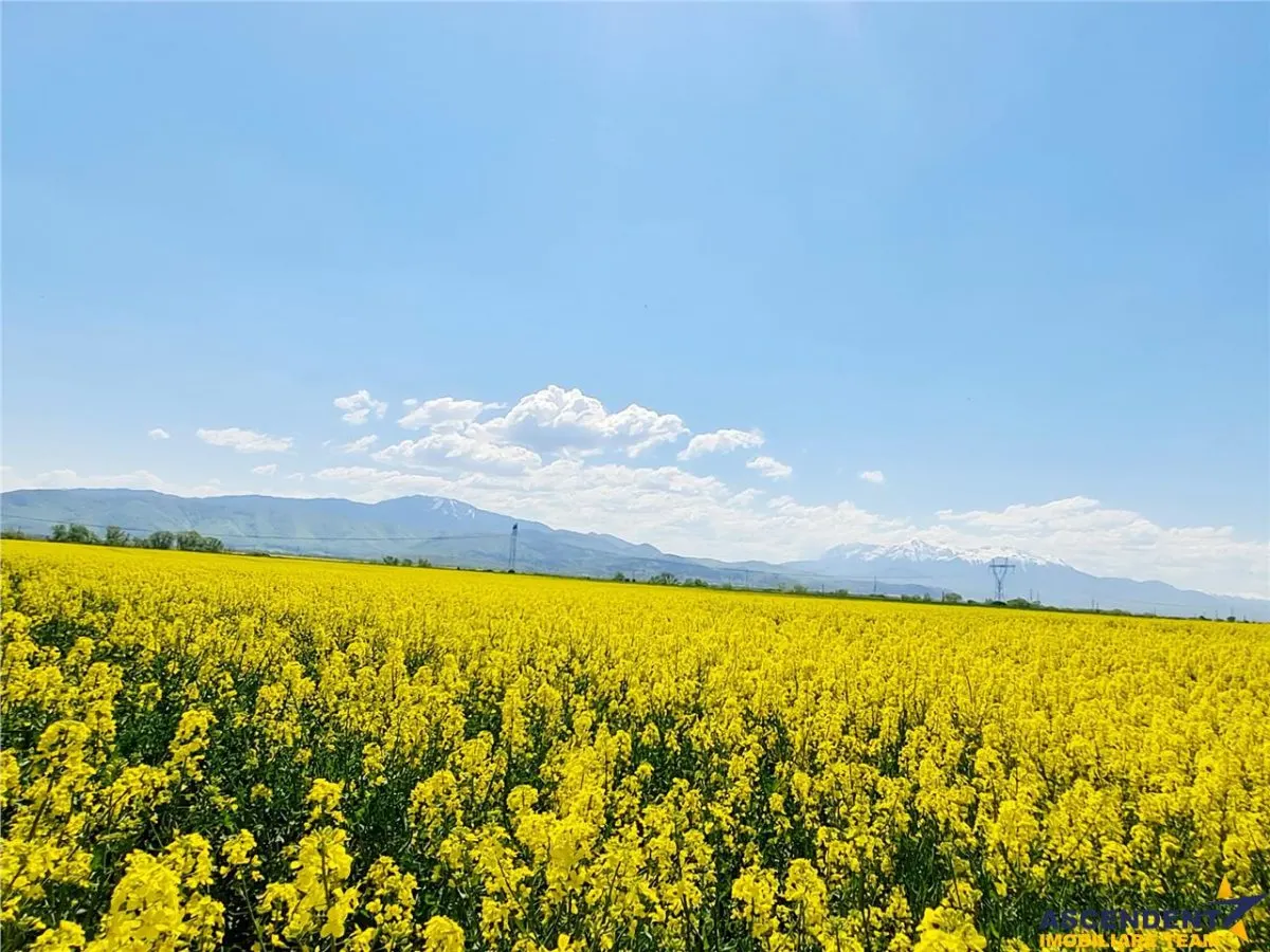 Oportunitate investitie! Teren 47.577 mp, Codlea . Ghimbav, pozitie excelenta la DN 11 - foto 6