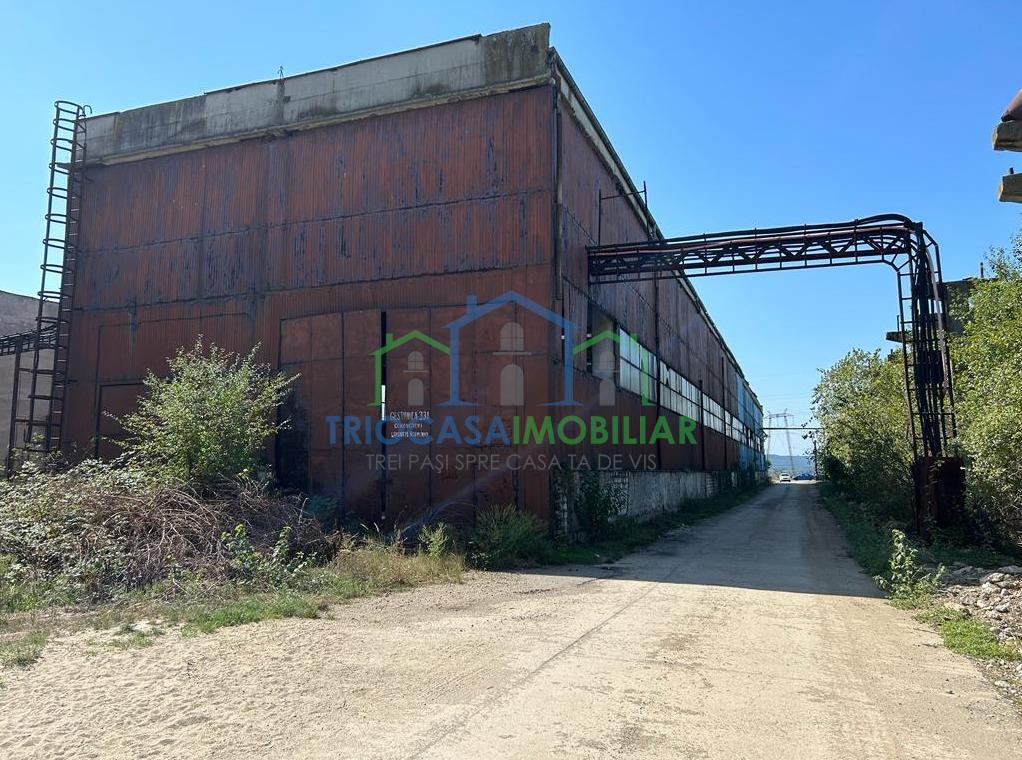 HALA INDUSTRIALA DE VANZARE - FILIASI-POZITIE STRATEGICA PENTRU LOGISTICA, DEPOZITARE, PRODUCTIE - foto 9