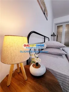 APARTAMENT DUBLU DE 5 CAMERE DE INCHIRIAT ROMANA - foto 14