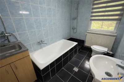 Casa cu 650 mp teren,zona linistita,curte verde,potential extindere,Gheorghe Doja, Targu Mures. - foto 9