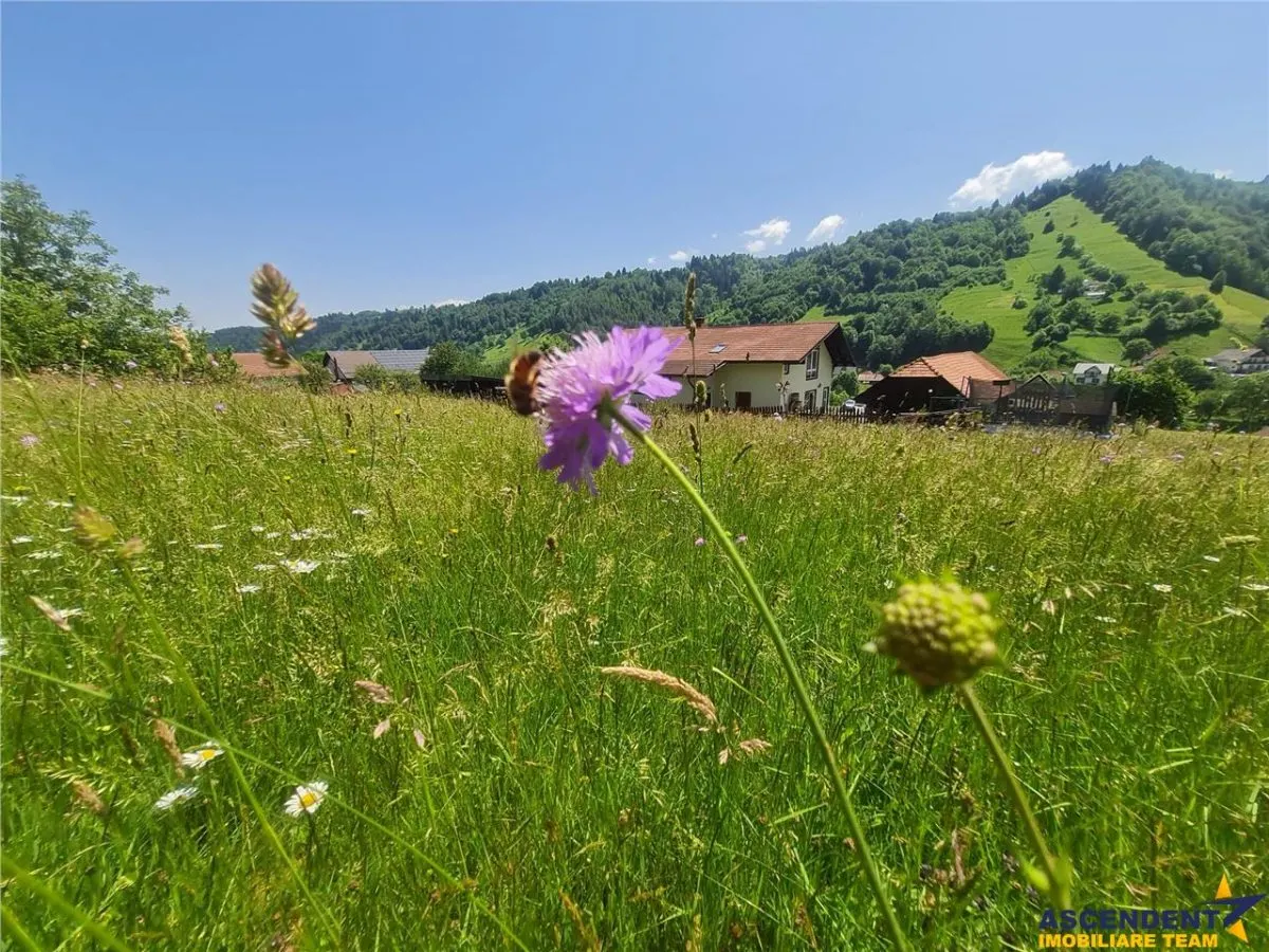 Deschidere spre crestele alpine+ documentatie turistica,4.400 mp de inspiratie naturala - foto 18