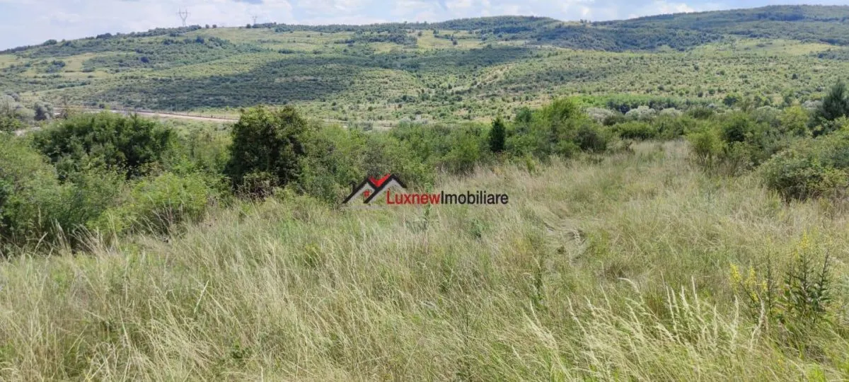 Teren Intravilan 586 mp în Rădaia ! Doar 29.000 â‚¬ ! Zonă în plina dezvoltare! - foto 3