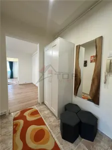 Inchiriere Apartament cu 2 camere Tatarasi Pet Friendly - foto 15