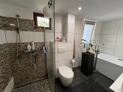 Lugoj,  Vila de Vis Cu Piscina, 440 Mp. Construiti, 820 Mp. Teren - foto 15