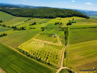 Afacere la cheie, dar si refugiu intr-o oaza de liniste in peisaj pitoresc: 25.624 mp compacte/Moișa, Mureș - Moisa