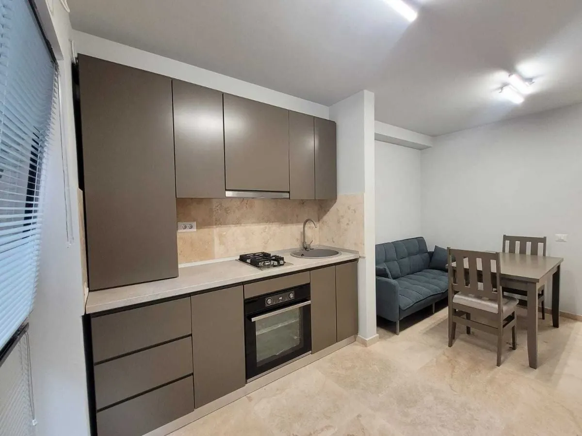 Apartament 2 camere cu terasă - Vilă ultracentral la 50 m de UMF - foto 4