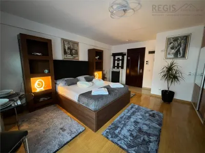 Studio elegant de inchiriat - foto 2