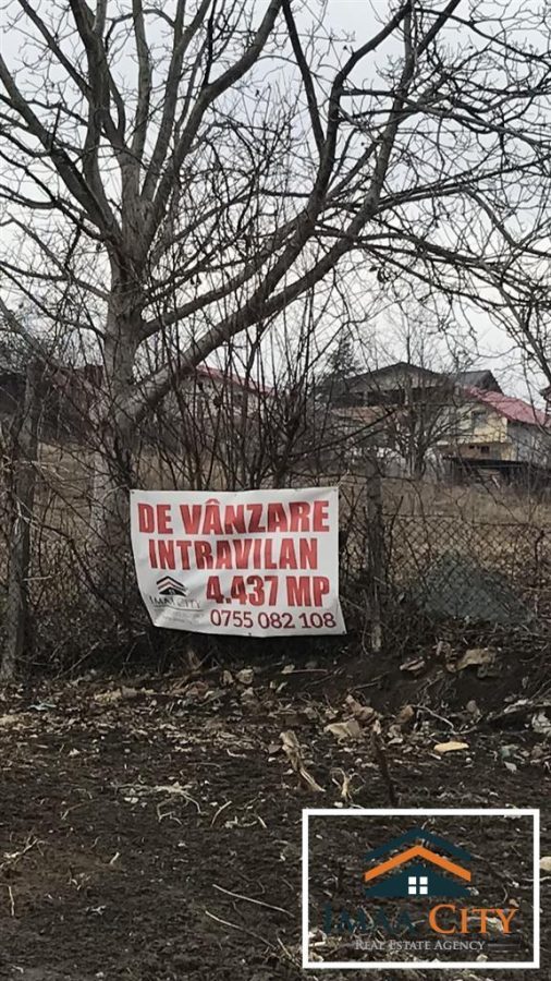 Teren, 4437 mp, Strada Strugurilor - foto 2
