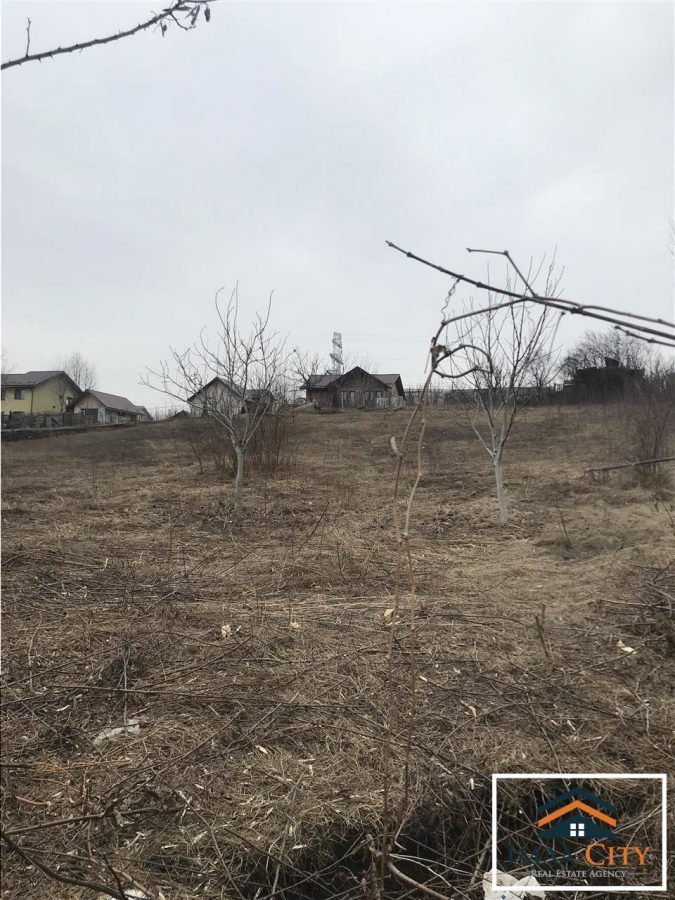 Teren, 4437 mp, Strada Strugurilor - foto 3