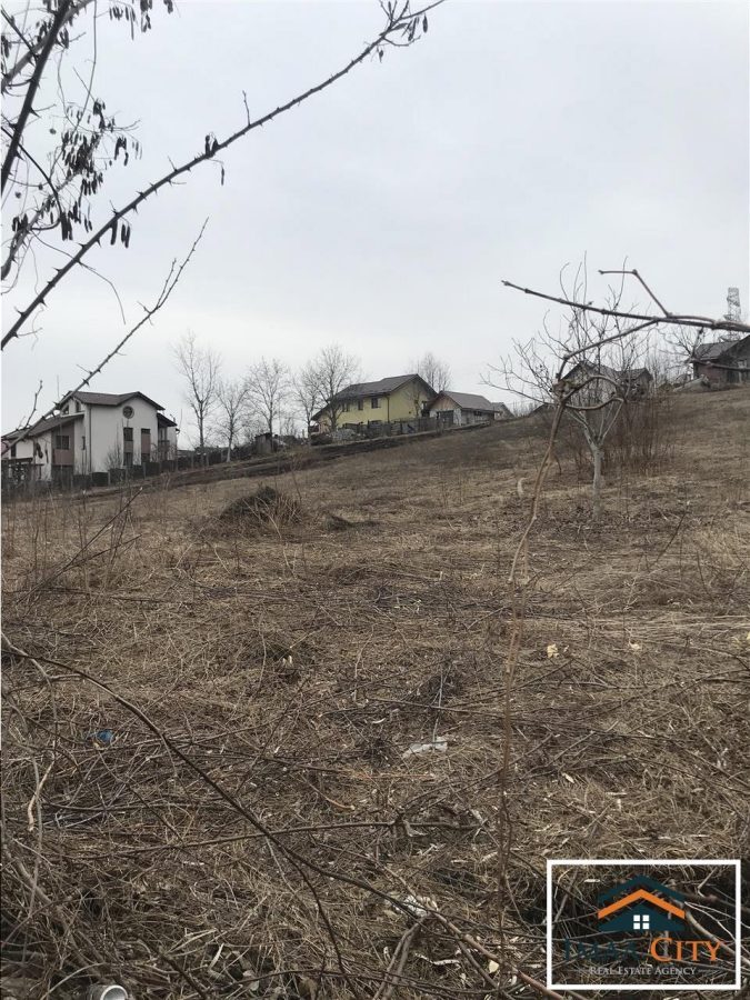 Teren, 4437 mp, Strada Strugurilor - foto 5