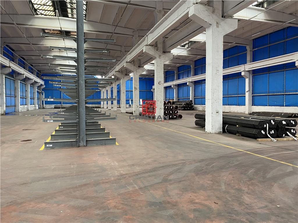 Vanzare depozit/hala/spatiu industrial Berceni - Oltenitei - foto 2