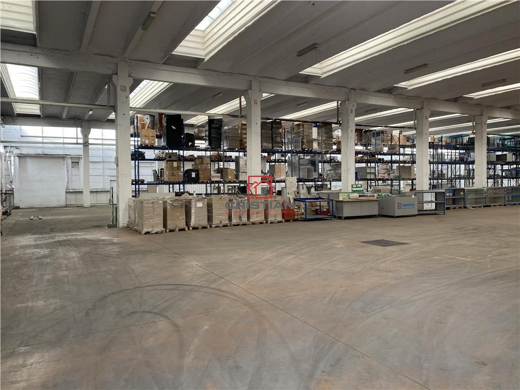 Vanzare depozit/hala/spatiu industrial Berceni - Oltenitei - foto 13