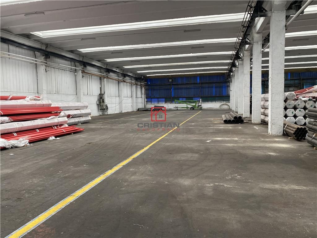 Vanzare depozit/hala/spatiu industrial Berceni - Oltenitei - foto 10