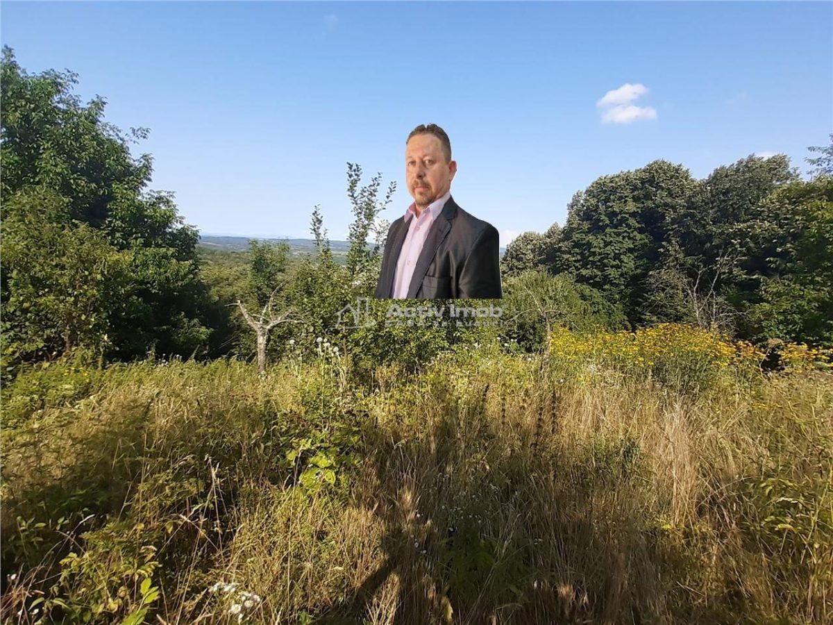 Resita Teren 5 500 Mp. Dr. Lupacului Peco Dusan - 