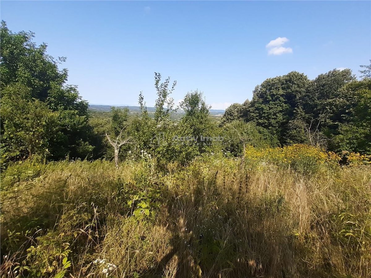 Resita Teren 5 500 Mp. Dr. Lupacului Peco Dusan - foto 2