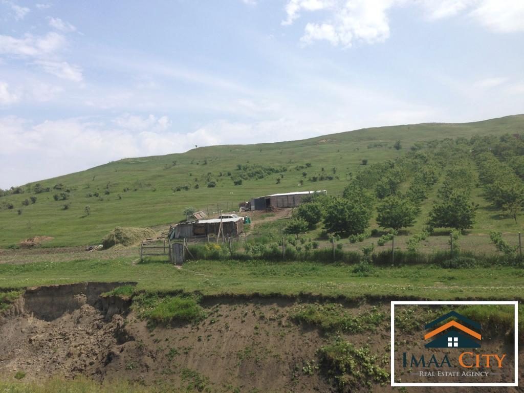 Teren, 10000 mp, Targu Frumos - foto 3