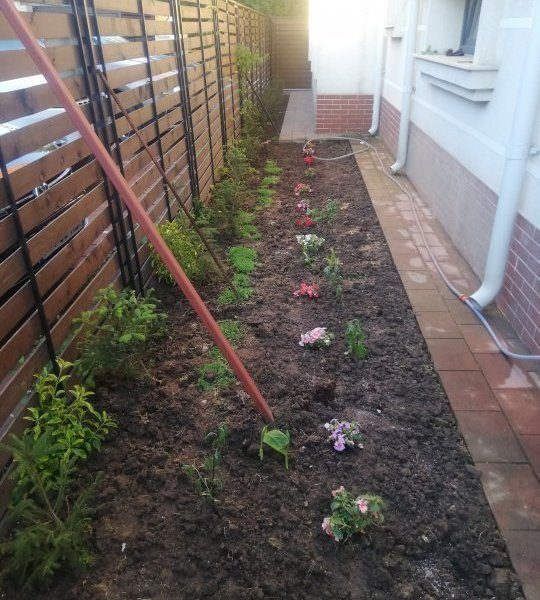 Vanzare apartament 3 camere, Iancu Nicolae, Stradal, Jolie Ville, loc de parcare - foto 12