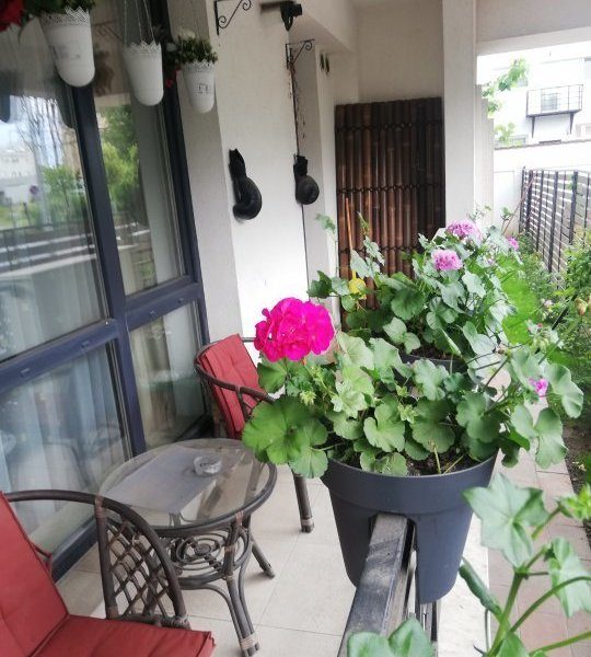 Vanzare apartament 3 camere, Iancu Nicolae, Stradal, Jolie Ville, loc de parcare - foto 13