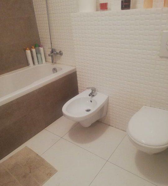 Vanzare apartament 3 camere, Iancu Nicolae, Stradal, Jolie Ville, loc de parcare - foto 8