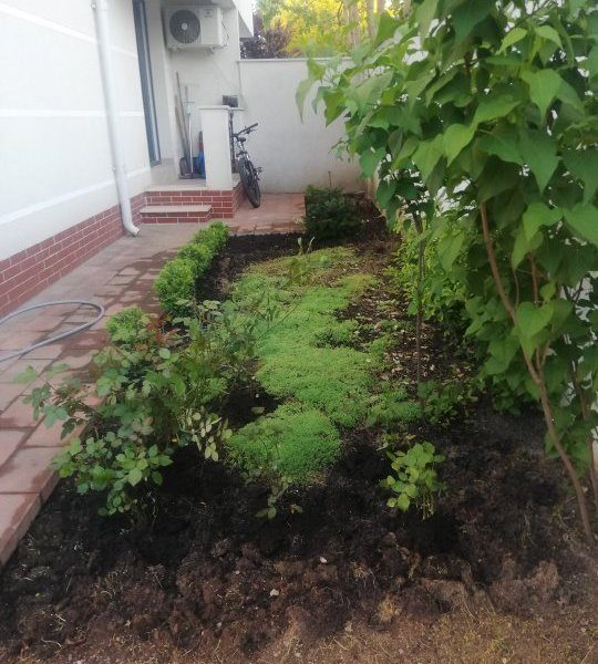 Vanzare apartament 3 camere, Iancu Nicolae, Stradal, Jolie Ville, loc de parcare - foto 10