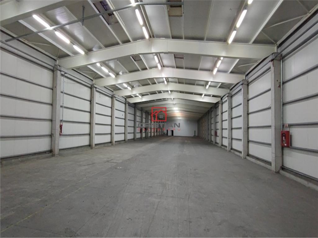 Vanzare depozit/hala/spatiu industrial Chiajna - Centura, ILFOV - 