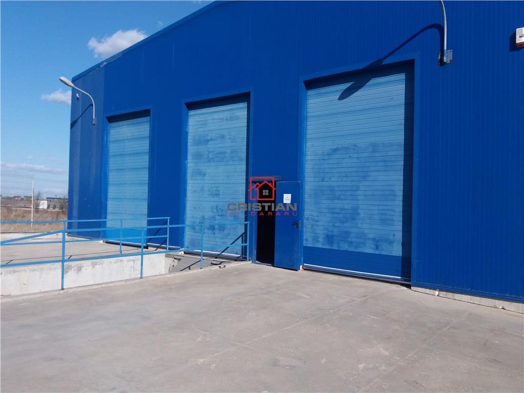 Vanzare depozit/hala/spatiu industrial Chiajna - Centura, ILFOV - foto 3