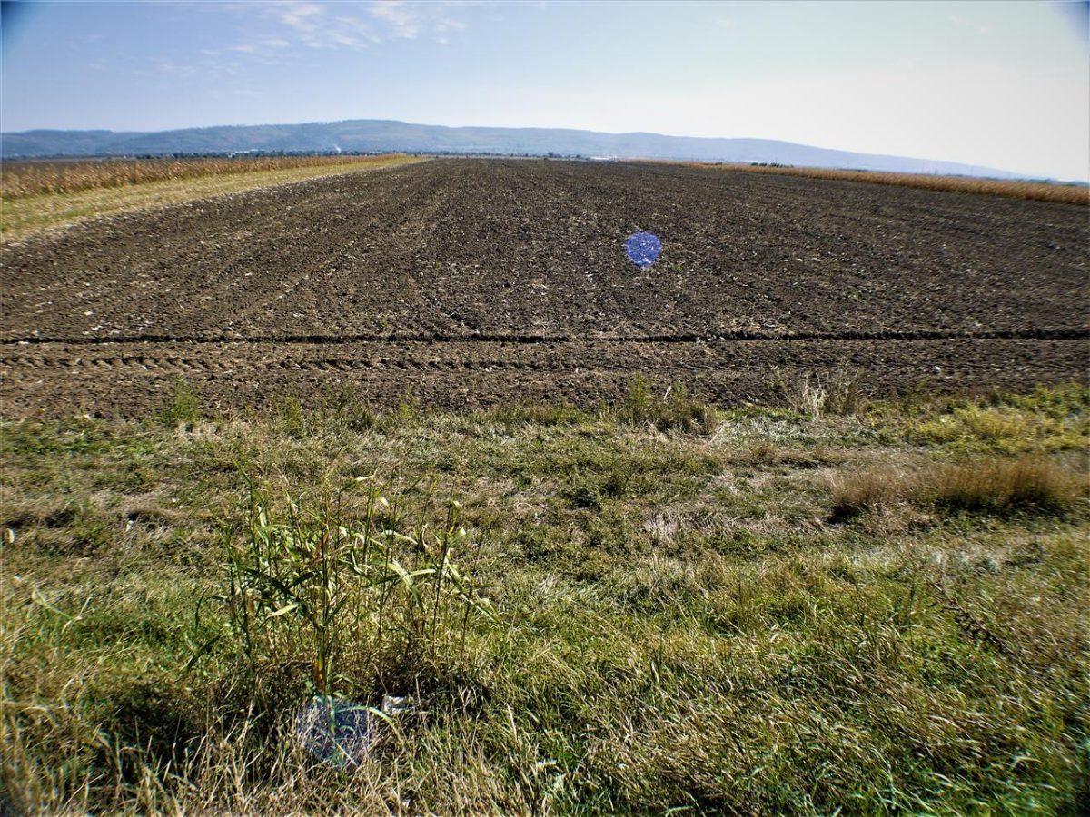 Teren iesire din Nicolae Balcescu, la 200ml de E85 Bacau - foto 7