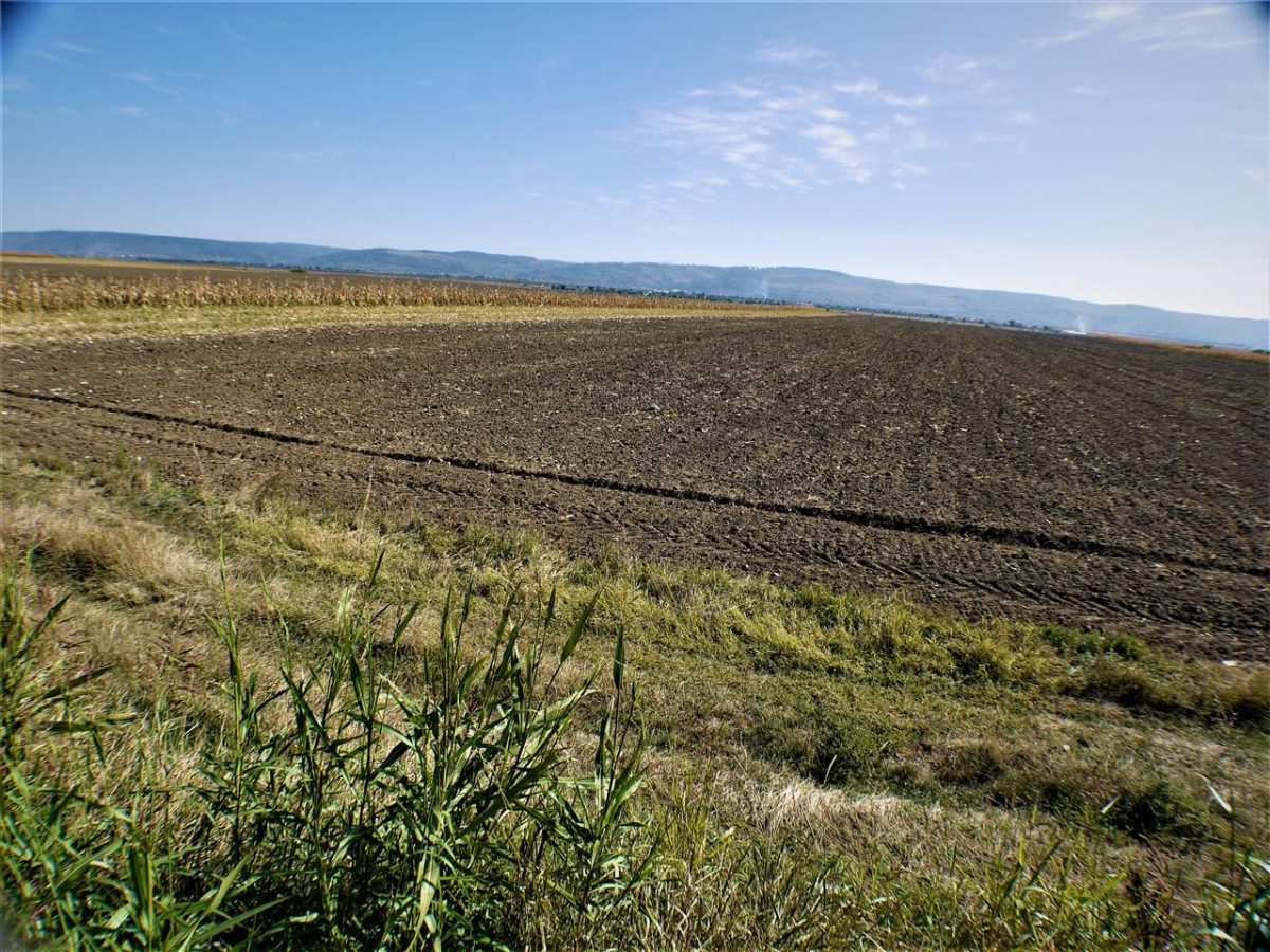 Teren iesire din Nicolae Balcescu, la 200ml de E85 Bacau - foto 9
