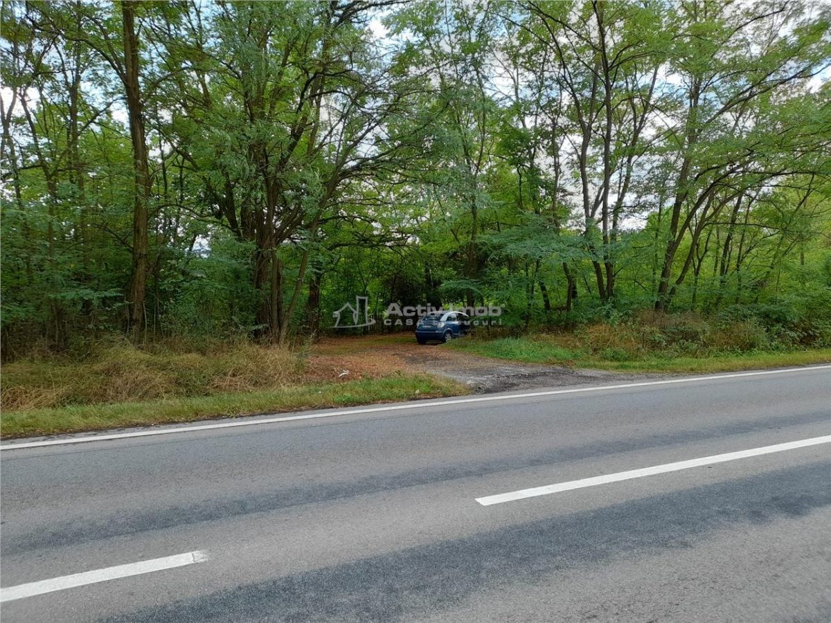 Resita,5561 mp.Teren INTRAVILAN Km.8,la Sosea 10 Euro mp.. - foto 3