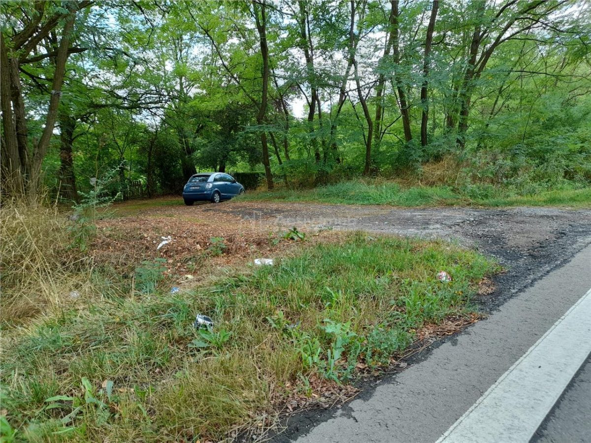 Resita,5561 mp.Teren INTRAVILAN Km.8,la Sosea 10 Euro mp.. - foto 7